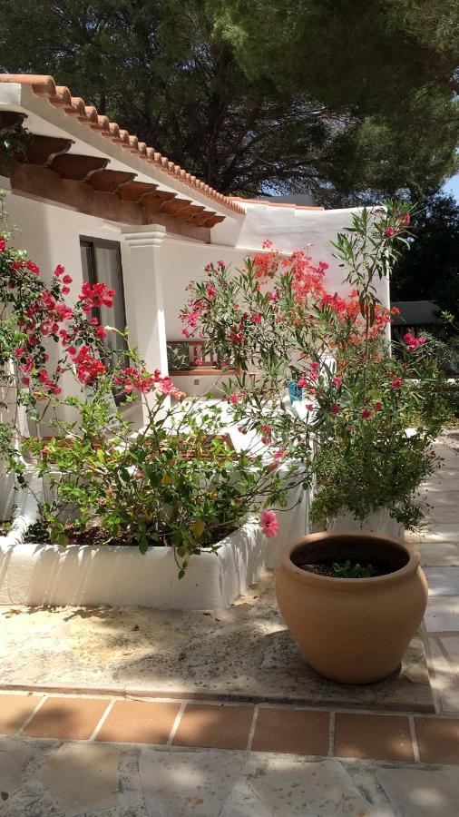 Apartmán Viviendas Ferrer-Es Mal Pas San Francisco Javier Exteriér fotografie